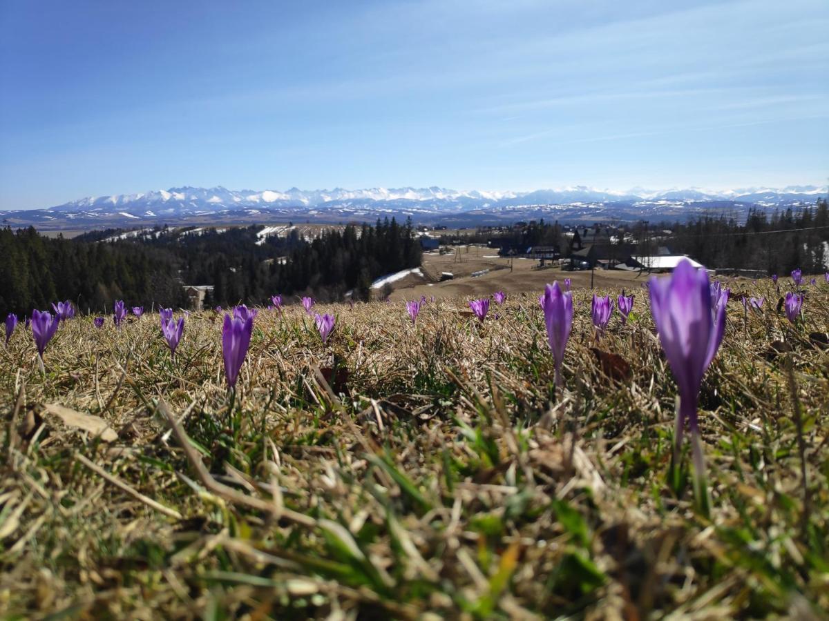 Przystanek Gorce Villa Nowy Targ Bagian luar foto