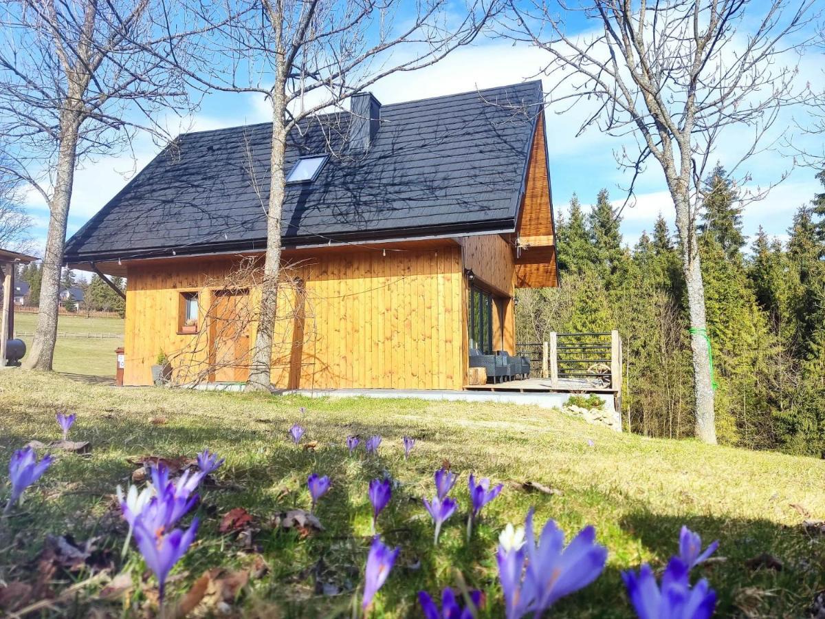 Przystanek Gorce Villa Nowy Targ Bagian luar foto